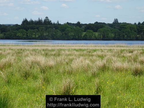 Lough Arrow